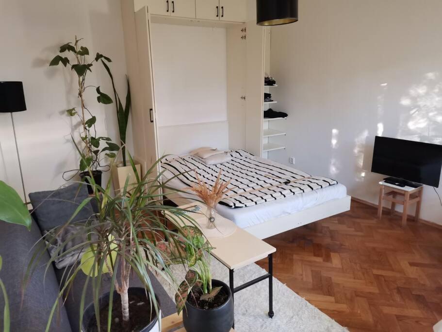 Cozy Studio In The City Centre Near Train Station Bratislava Eksteriør bilde